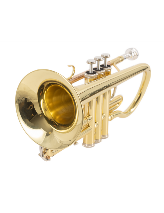 CORNETA J. MICHAEL EN SI BEMOL CT420