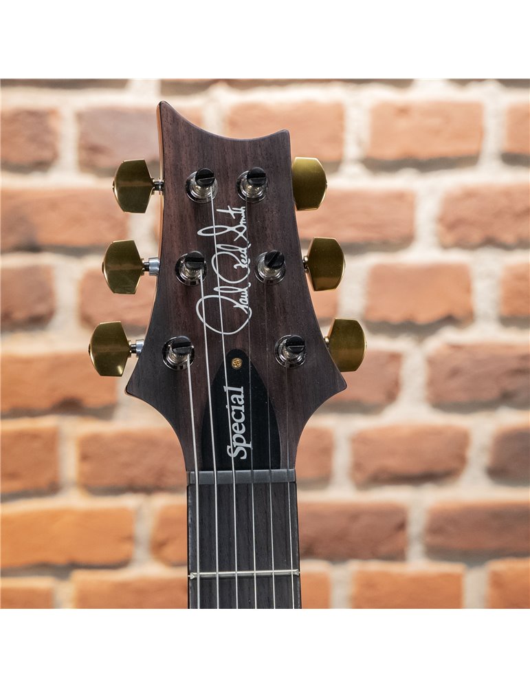 SPECIAL 22 SEMIHOLLOW 10 CC ERIZA VERDE SMOKEBURST