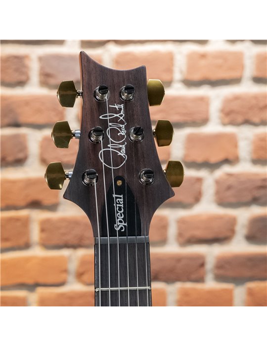SPECIAL 22 SEMIHOLLOW 10 CC ERIZA VERDE SMOKEBURST