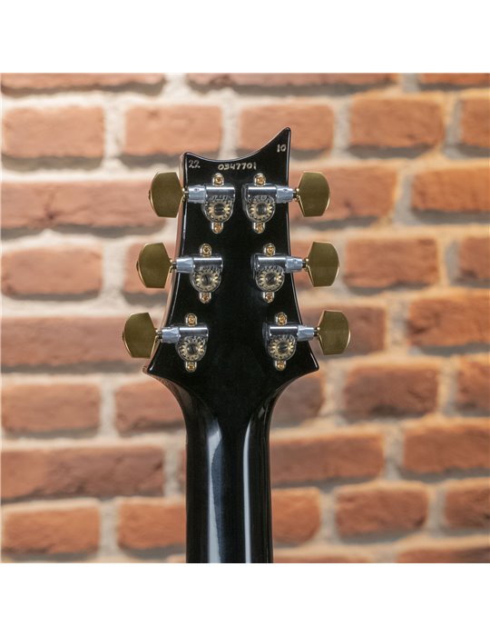 SPECIAL 22 SEMIHOLLOW 10 CC ERIZA VERDE SMOKEBURST