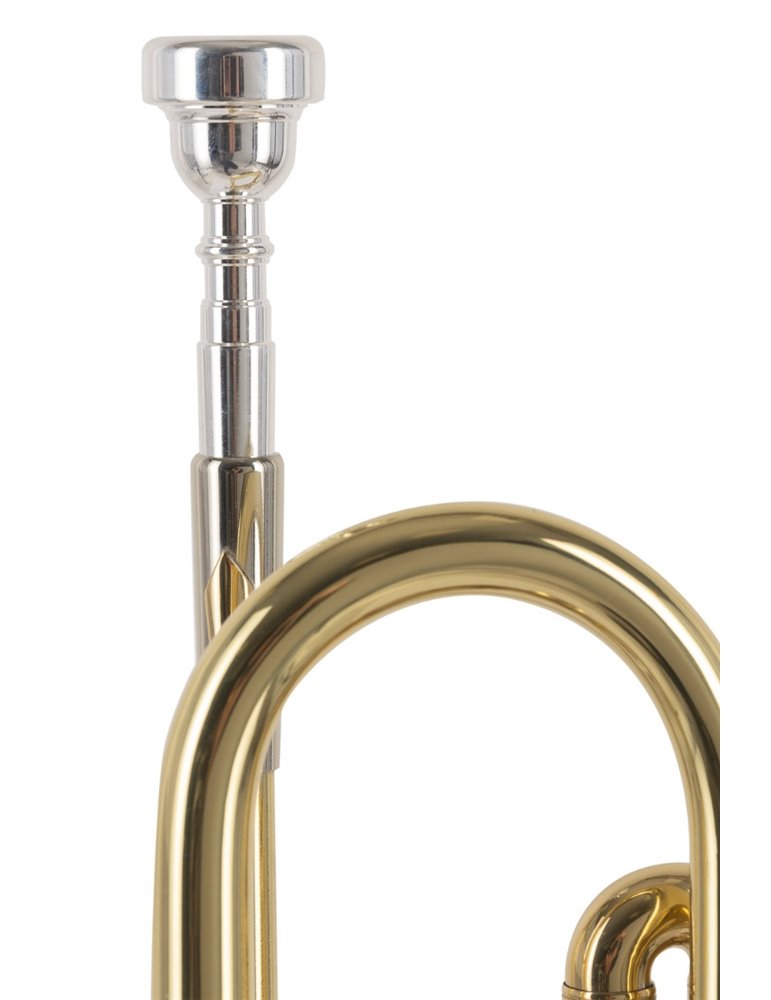 TROMPETA J. MICHAEL DE ESTUDIO LACADA TR200