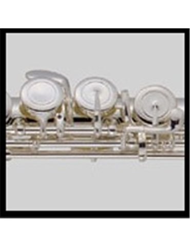 FLAUTA TRAVESERA EN DO J. MICHAEL FL380SE