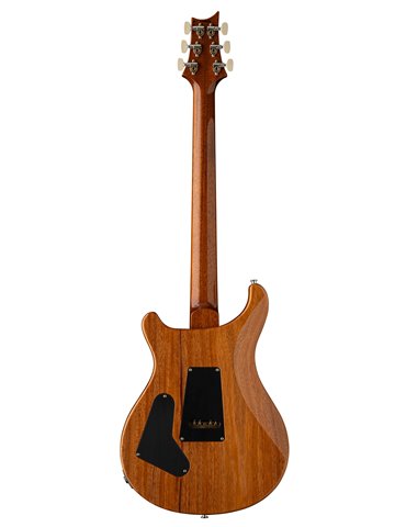 CUSTOM 24 AURORA BOREALIS 2