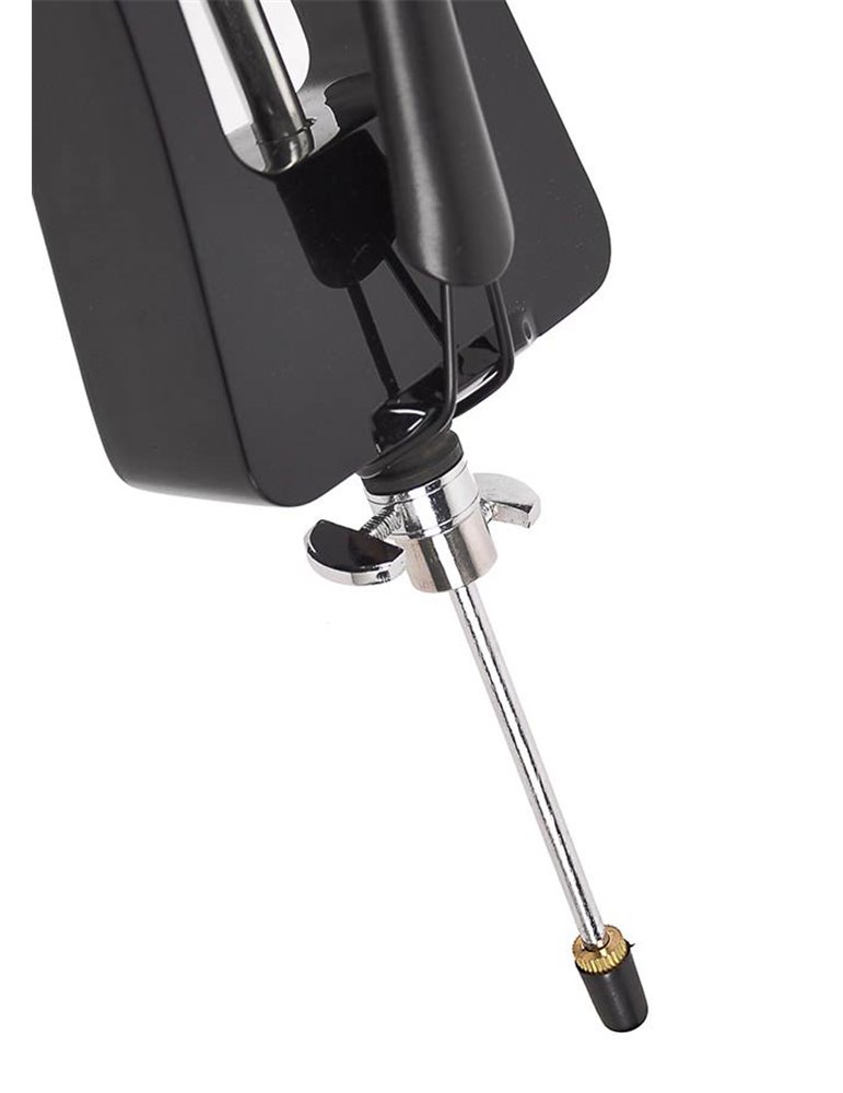 Chelo eléctrico Leonardo negro