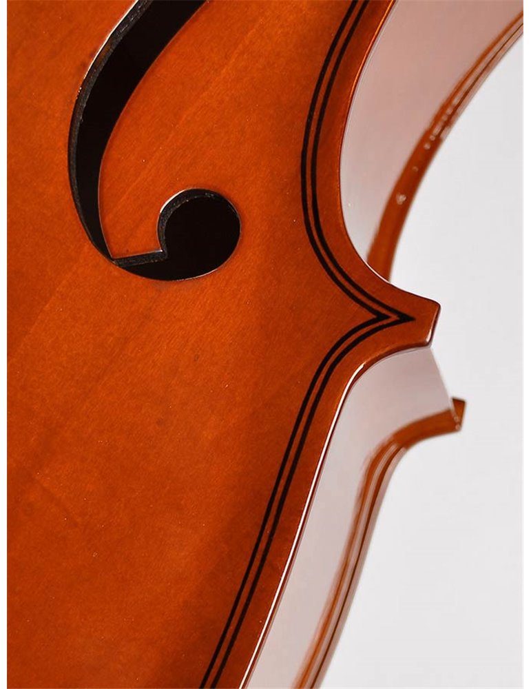 Chelo 1/2 Leonardo barniz nitro diapa. teñido