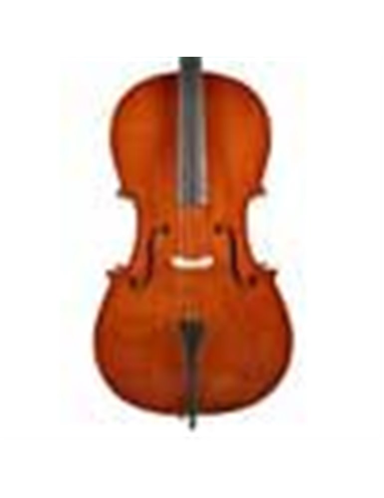 Chelo 1/2 Leonardo barniz nitro diapa. teñido