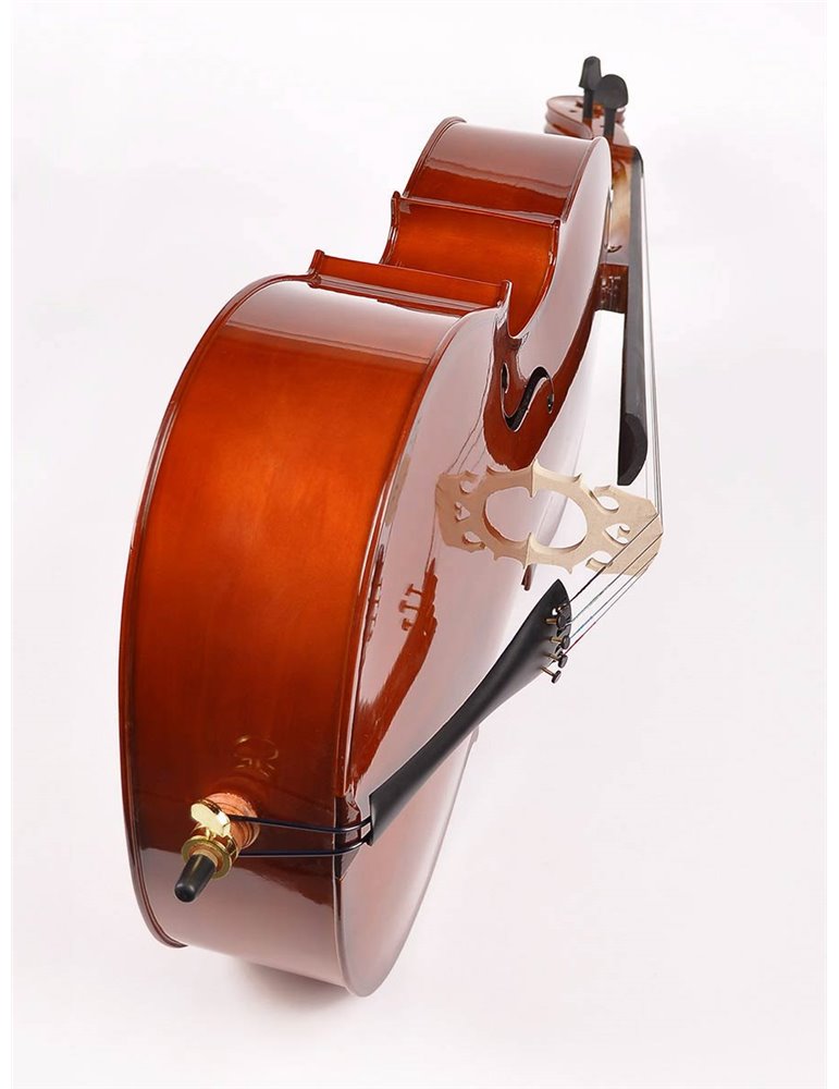 Chelo 3/4 Leonardo barniz nitro diapa. teñido