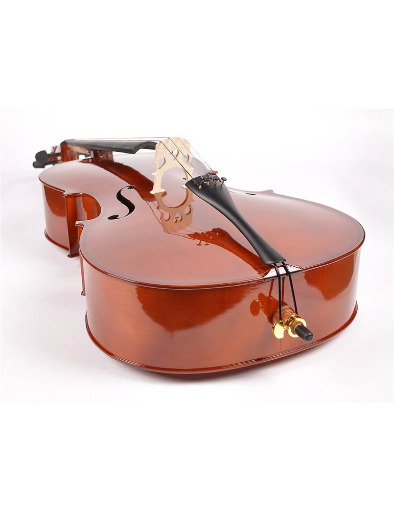 Chelo 4/4 Leonardo barniz nitro diapa. teñido