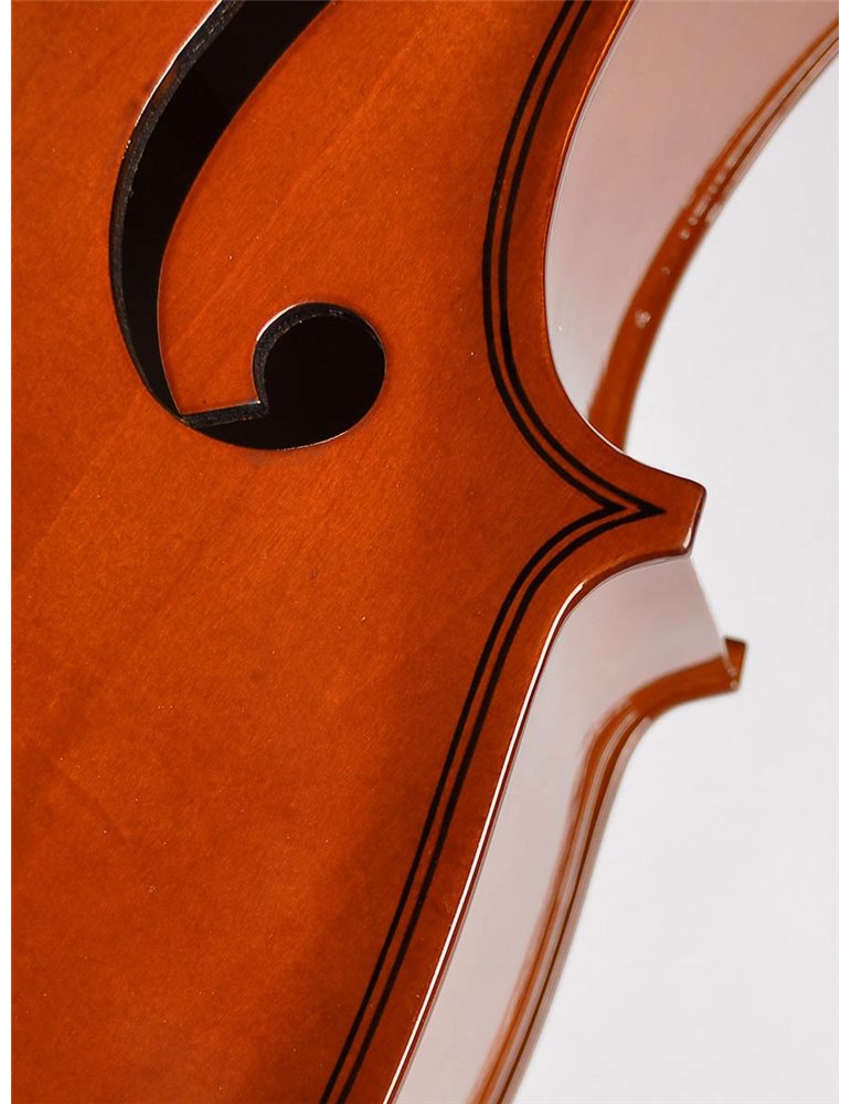 Chelo 4/4 Leonardo barniz nitro diapa. teñido