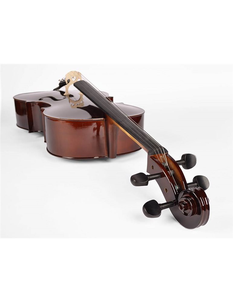 Chelo 1/2 Leonardo macizo abeto/arce/ebano