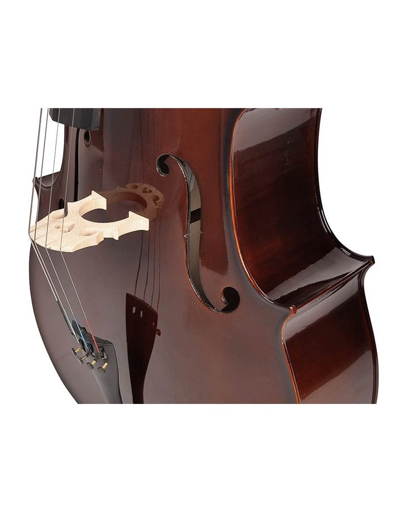 Chelo 1/2 Leonardo macizo abeto/arce/ebano