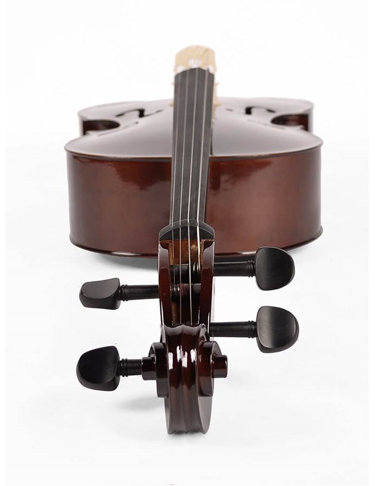 Chelo 1/2 Leonardo macizo abeto/arce/ebano