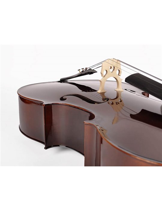 Chelo 4/4 Leonardo macizo abeto/arce/ebano