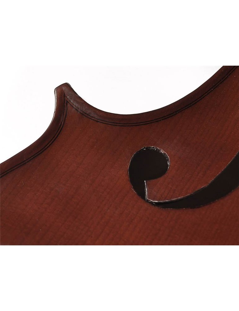 Chelo 4/4 Leonardo macizo abeto/arce/ebano