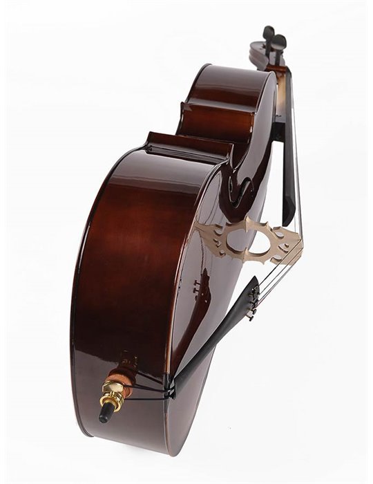 Chelo 4/4 Leonardo macizo abeto/arce/ebano