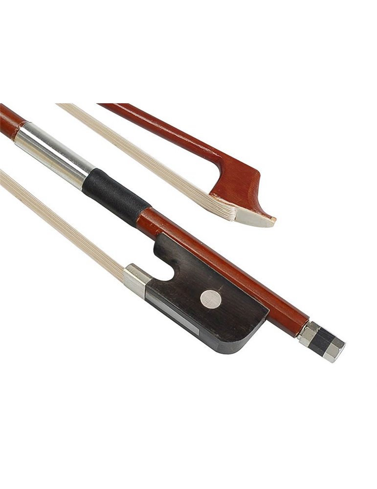 Chelo 4/4 Leonardo macizo abeto/arce/ebano