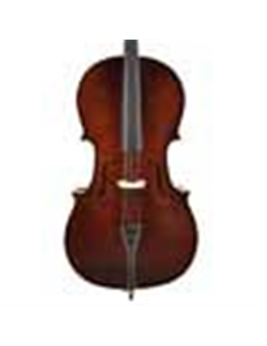 Chelo 4/4 Leonardo macizo abeto/arce/ebano