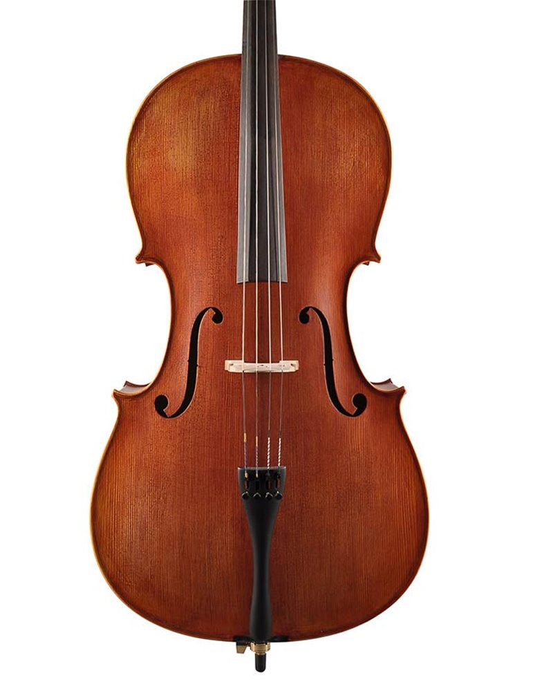Chelo 3/4 Leonardo macizo mate flameado