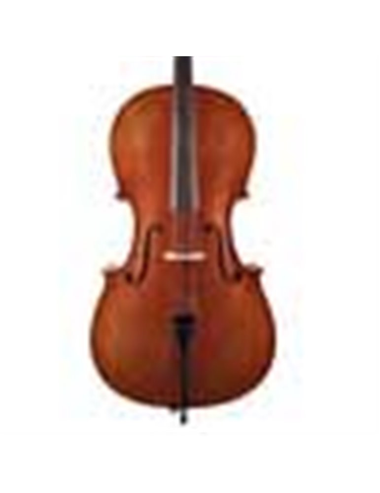 Chelo 3/4 Leonardo macizo mate flameado