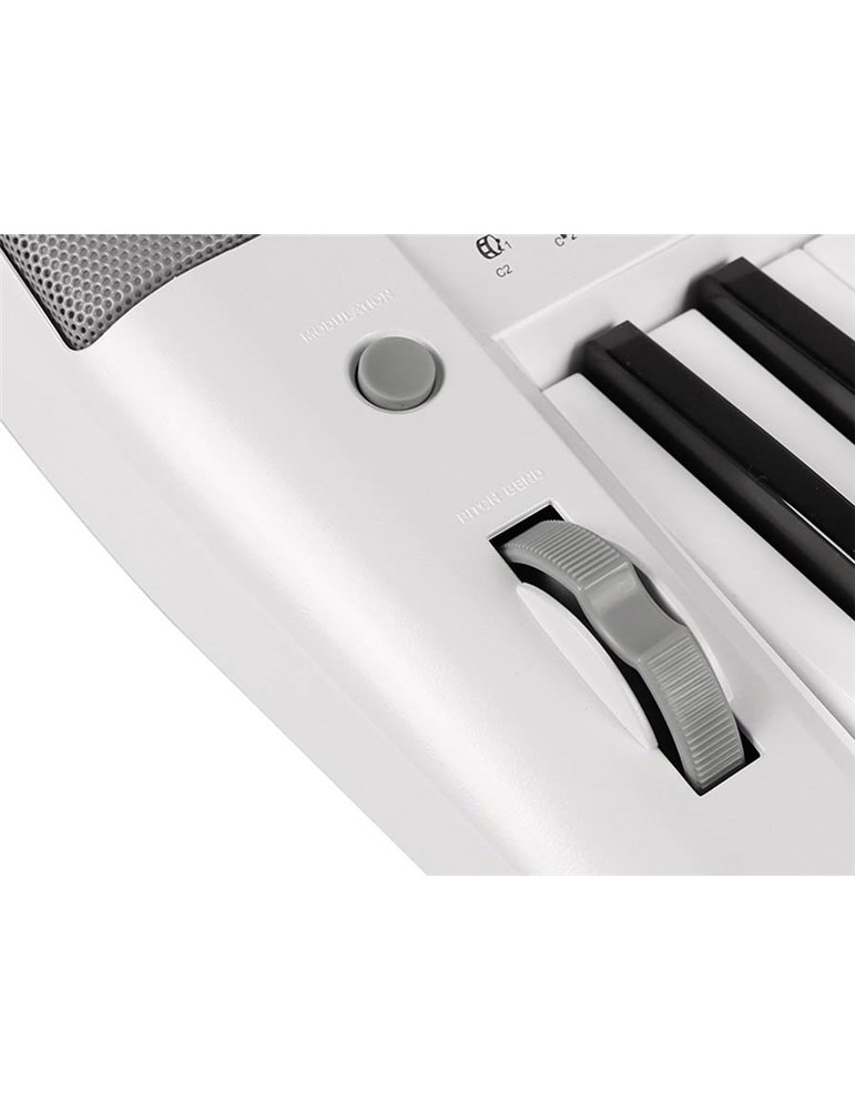 TECLADO MEDELI 61 TECLAS A300W