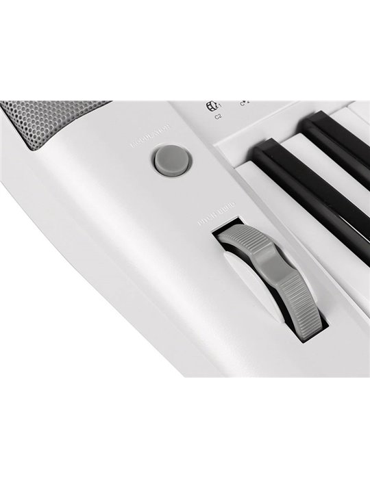 TECLADO MEDELI 61 TECLAS A300W