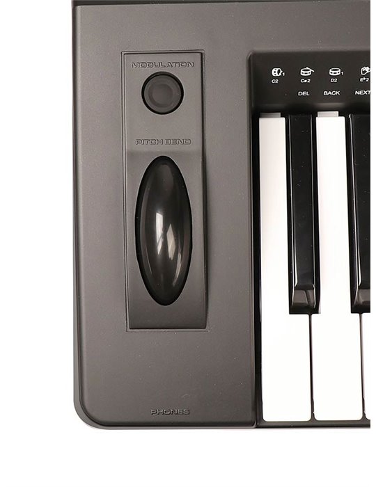 TECLADO MEDELI 61 TECLAS A810