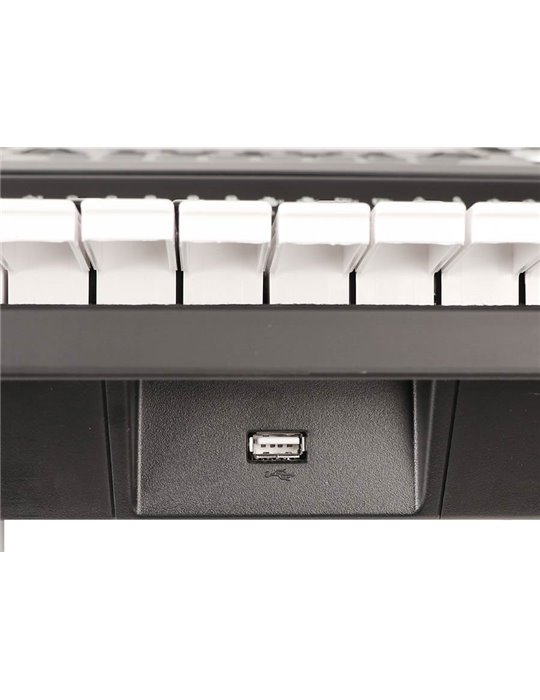 TECLADO MEDELI 61 TECLAS A810