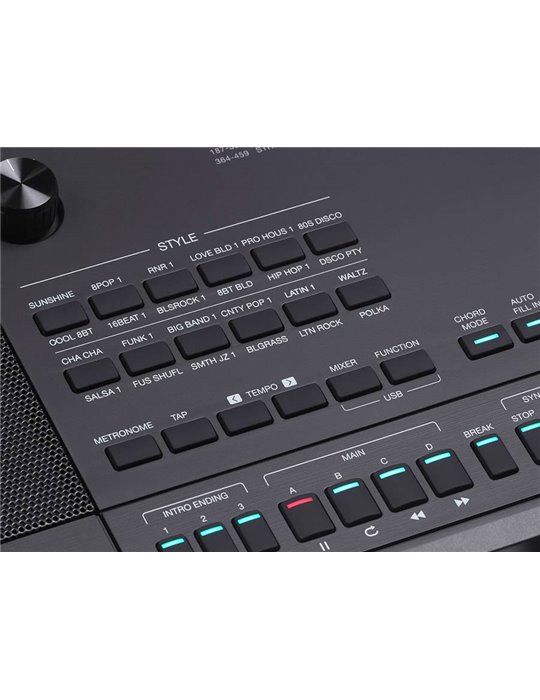 TECLADO MEDELI 61 TECLAS AK603