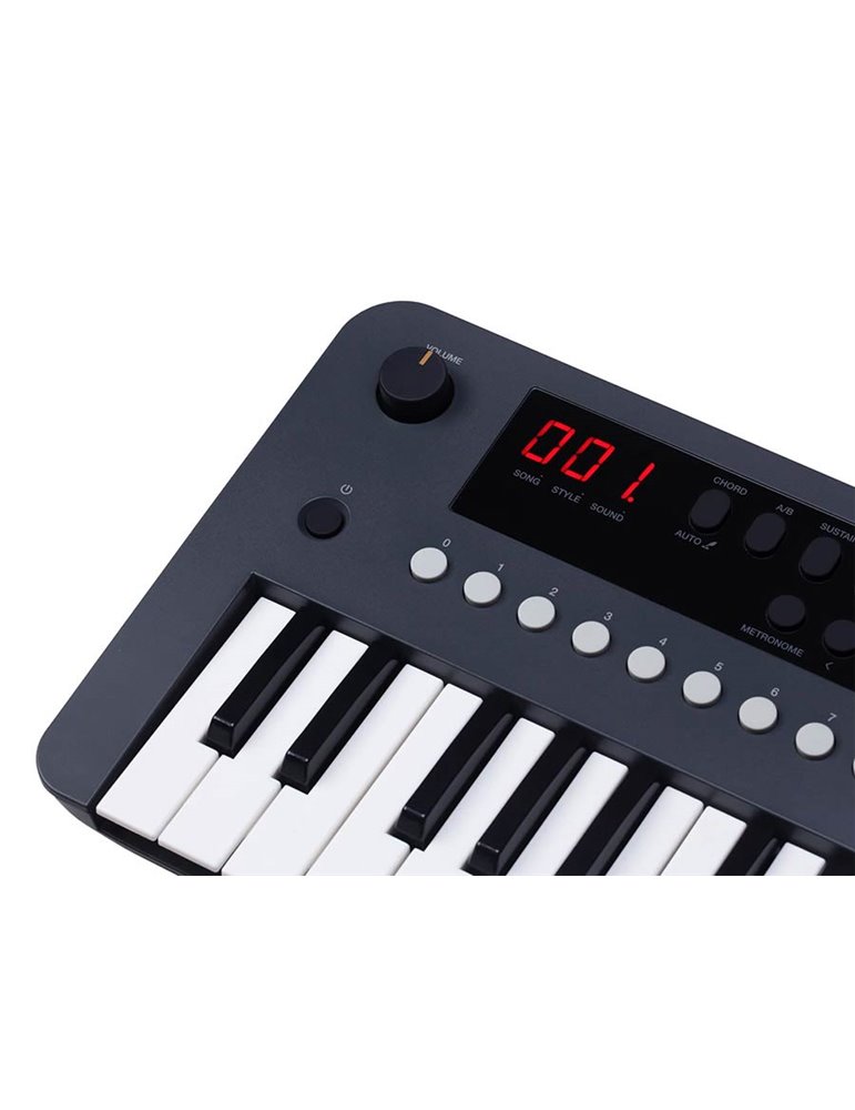 TECLADO MEDELI 37 TECLAS MK37