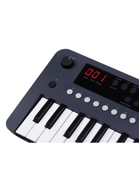 TECLADO MEDELI 37 TECLAS MK37