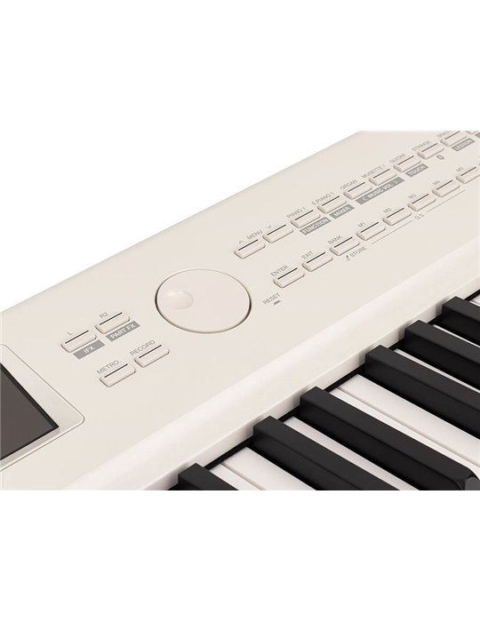 PIANO DE ESCENARIO MEDELI 88 TECLAS SP-A500/WH