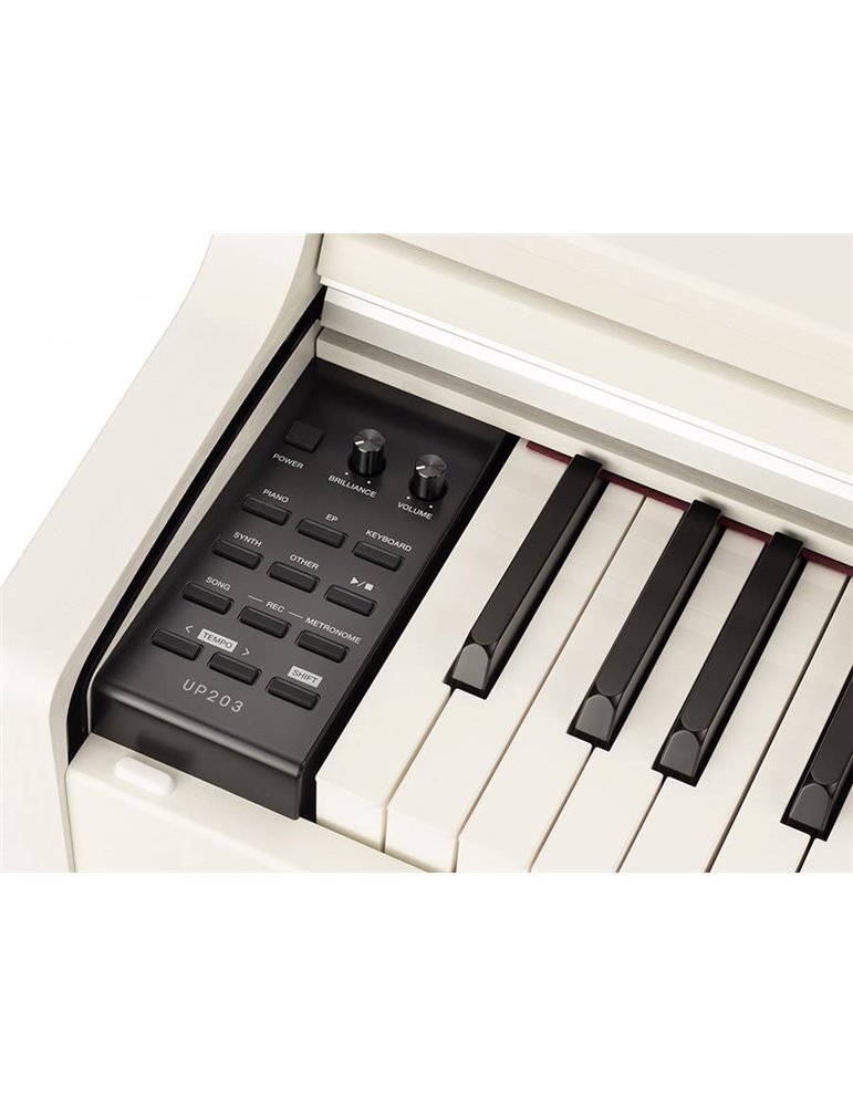 PIANO DE ESCENARIO MEDELI 88 TECLAS UP203/WH