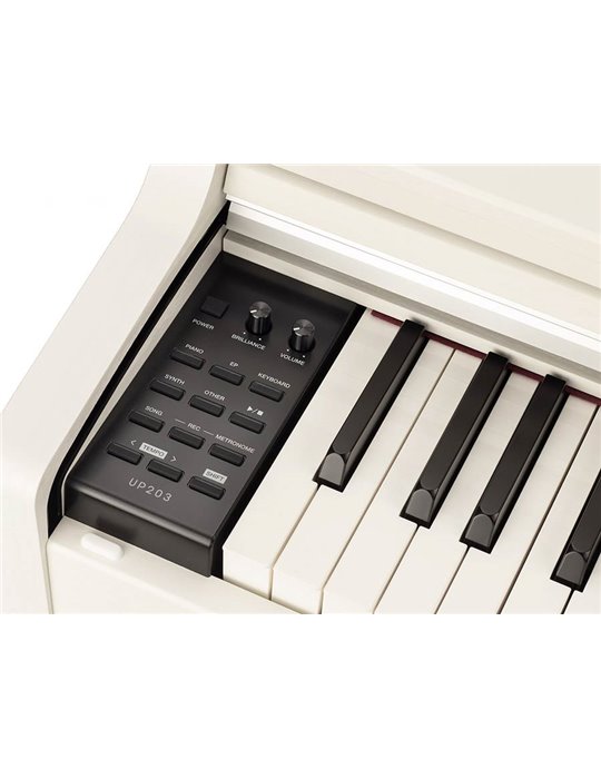 PIANO DE ESCENARIO MEDELI 88 TECLAS UP203/WH