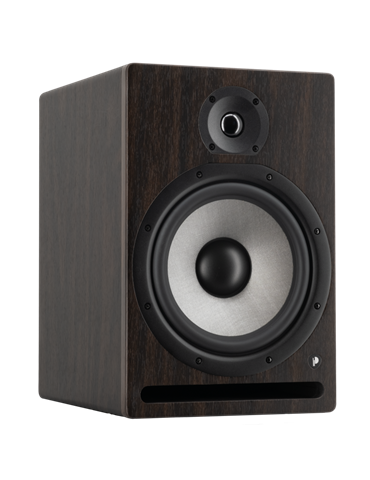 MONITOR DE ESTUDIO PRODIPE PRO8V4 PALISANDRO 2