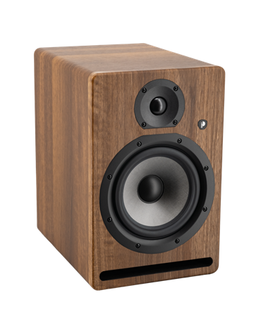 MONITOR DE ESTUDIO PRODIPE PRO8V4 NOGAL