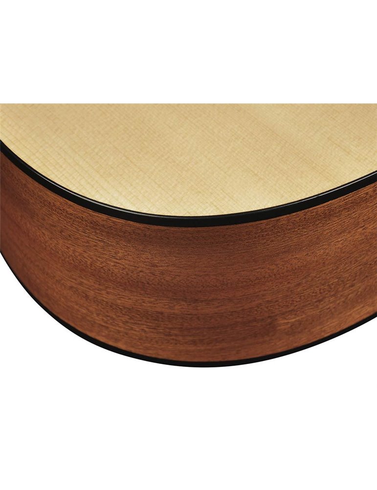 Guit. acú. Auditorium Richwood ARTESANA