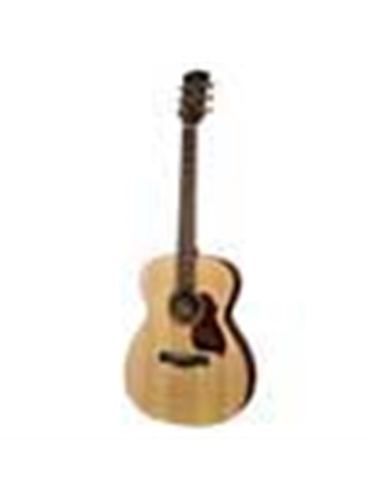 Guit. acú. Auditorium Richwood ARTESANA