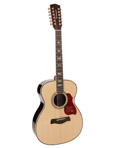 Guit. acú. 12 cu. Auditorium Richwood ARTESANA