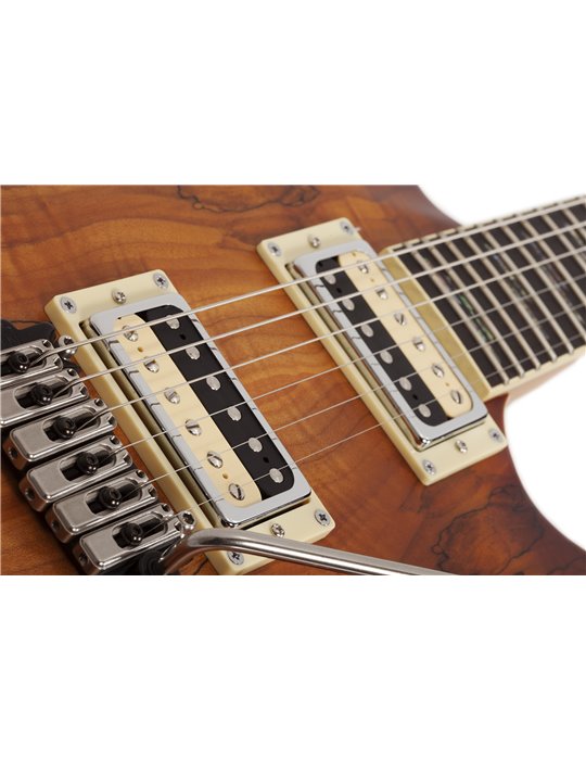 C-1 EXOTIC SM  SNVB