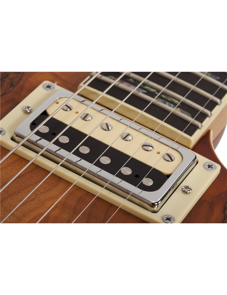 C-1 EXOTIC SM  SNVB
