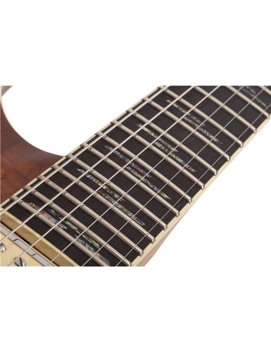 C-1 EXOTIC SM  SNVB