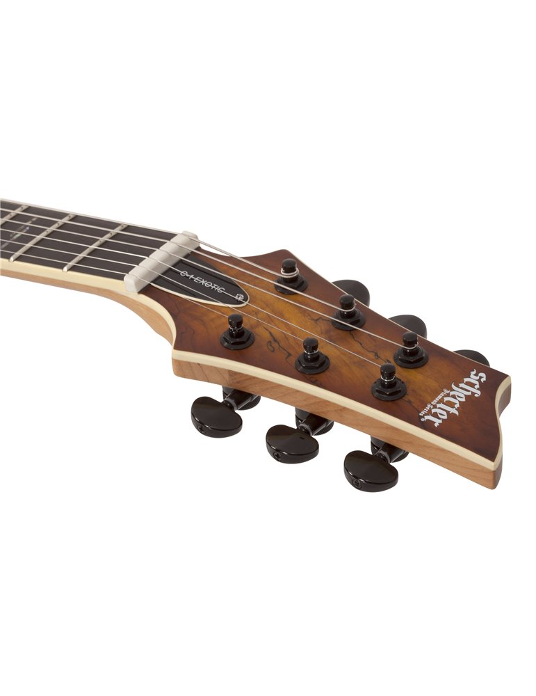 C-1 EXOTIC SM  SNVB