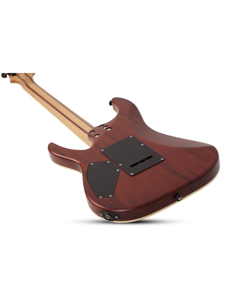 C-1 EXOTIC SM  SNVB