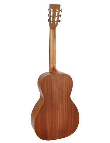 Guit. acú. E parlor Richwood ARTESANA 2