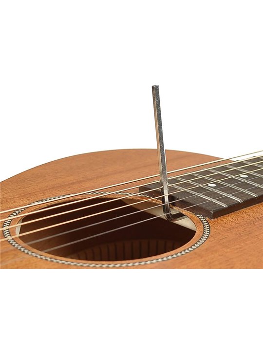 Guit. acú. E parlor Richwood ARTESANA