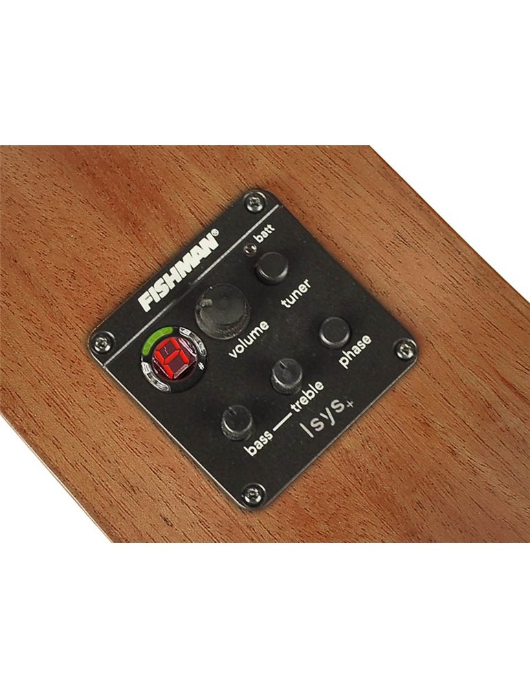 Guit. acú. E parlor Richwood ARTESANA