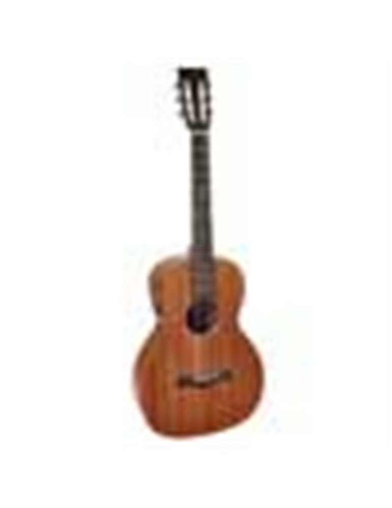 Guit. acú. E parlor Richwood ARTESANA