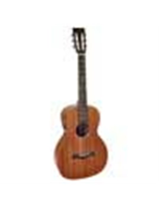 Guit. acú. E parlor Richwood ARTESANA
