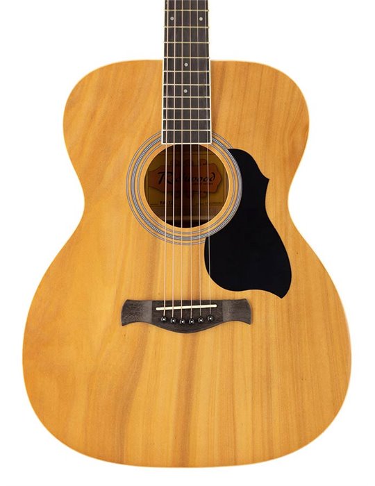 Guit. acú. Auditorium Richwood Natural