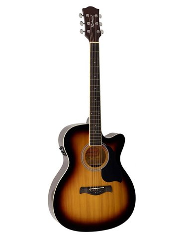 Guit. acú. E Auditorium Richwood Sunburst